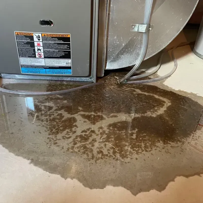 Appliance Leak Cleanup in Hobe Sound, FL